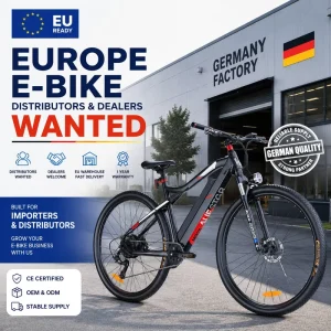 EU Ready Electric Bike German Factory Looking For Distributors Dealers Exclusive Agents OEM ODM Manufacturer GT2000