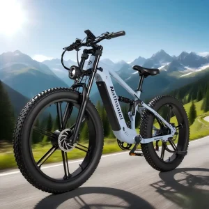 EU Shipping SYR 09 Dual Motor 2000W 26*4.0 Fat Tire Integrated Wheel 48V 20Ah 55KM H Mountain E bike Bike