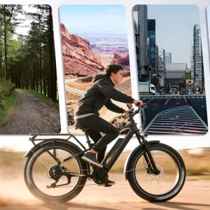 EU Stock 48V20Ah LG Battery 180KM Range 750W Motor Hydraulic Brake Full Suspension 8 Speed Mountain Fat tire All terrain Bike