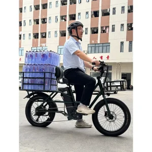 EU Stock Cargo Ebike Three Wheel Cargo Electric Bike Long Rear Cargo Rack