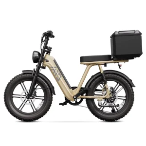 EU Stock Electric City Bicycle Electric Bike Multi functional E bike for City Cycling/Food Delivery/Commuting