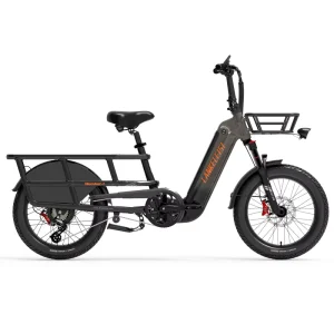 EU Stock Wombat-1 20″ Electric Cargo Bike 1000W Long Tail E Bike with Torque Sensor 48V20Ah Electric Hybrid Bike