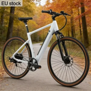 EU Stock Y700 Fat Tire Mountain Bikes Mini Folding Ebike 36V 250W Motor Electric Fat Bike Electric City Bikes