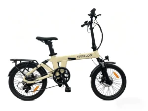 EU Stock Yangor Y19 Factory 250w Electric Hybrid Bike Women’s City Bike with Rear Hub Motor for Adults
