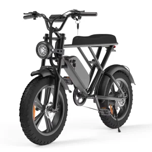 EU US Stock Fast Shipping 20 Inch Fat Tire E bike 250w Urban Electric Bicycle 25km h Adult Fatbike for Adult