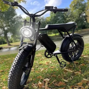EU USA Warehouse Ready Stock OUXI V8 Electric Bike 20inch Fat Tire E bike 250w Urban Electric Bicycle 25km h Adult Fatbike