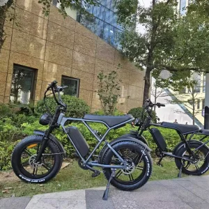 EU Warehouse Ready Stock H9 Battery City Ebike Electric 500W 1000W Power Mountain Fat Tire Bikes