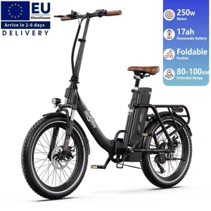 EU Warehouse Urban 250w Womens Ebike Fatbike 48V Folding Hybrid Ebike Electric Fat Tire Road City E Bike Vlo Lectrique