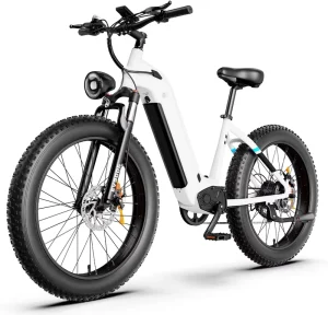 EV900X Men’s Retro Electric Bike Aluminum Frame 1000W Brushless Rear Hub Motor 52V Lithium Battery Adults Mountain