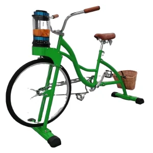 EXI Beach Cruiser Bike Update Style Green Juicer Bicycle