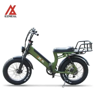 EZREAL Electric Cargo Bike electric 48V 750W Cargo Delivery Bicycles Ebike