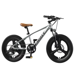 Easy Rider Baby Heavy Bike Children Bicycle for 5 Years Old Child