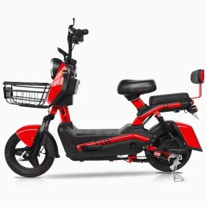 Easy Storage 3-Speed Steel Frame Electric Bike for Urban Journeys 48V Powered Adult Mobility Shandong China