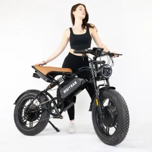 Retro High-Speed Off-Road E-Bike, Full Suspension, 20-Inch Fat Tires, Adult Hybrid Electric Bicycle