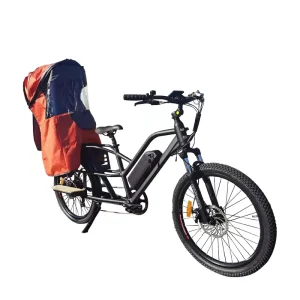 Ebike 48v 2 Wheel Low Electric Bicycles Fast Speed Baby Seat Electric Cargo Bike