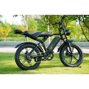 Ebike Hybrid Downhill Bike with Basket, City Electric Mountain Bike, Fat Bike V8 Family Riding Bike
