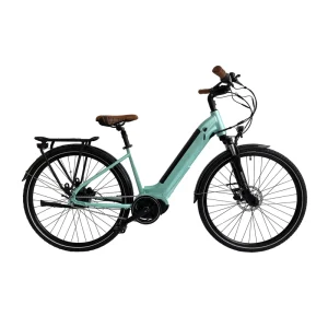 Ebike High Speed 7 Speed 36v 250w Electric Bicycle City Ebike