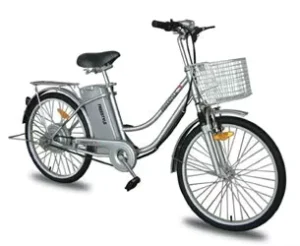 Economic Electric Bikes