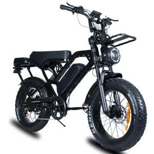 Electr Bike Price Fatbike X80Pro 2 Seat E bike Vintage Velo Electric Motor VOMO X80 Cycle E Bike 250W 20inch Eu Electric Bicycle