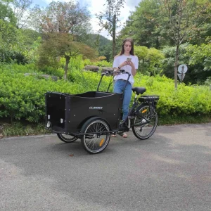 Electric 3 Wheel Cargo Bike With Front Wood Box 4 Kids Seat Dutch Mobility Family City Bike