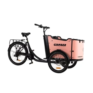 Electric 3 Wheel Cargo Bike with Cargo Box Dutch Bakfiets Lastenrad Style Stable Frame for Family Daily Commuting
