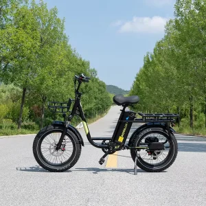 Electric 48V 250W 25Ah Long Range 20 Inch Fat Tire Bicycle