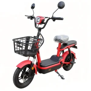 Electric Adults Motorcycle Electric Scooter Electric Bike for Urban Commute
