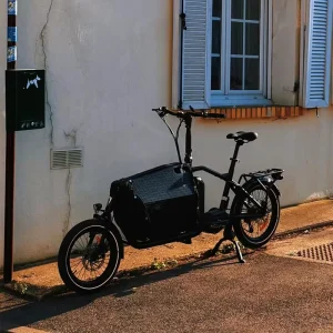 Electric Alloy Aluminum 6061 Frame 2 Wheel Cargo Bike with Gear Front Alloy Basket Front and Rear Hydraulic Disc Brake
