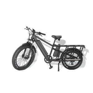 Electric Aluminum Alloy Electric Dirt Cargo Hybrid Bike 2 Wheel E Bicycle