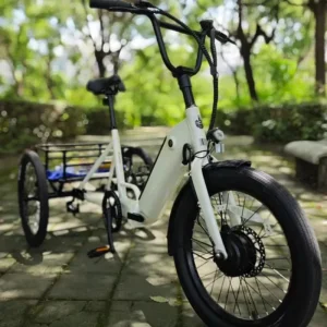 Electric Assist Pedal Tricycle Brushless Motor Aluminum Alloy Lithium Battery 200kg Three Wheel Trike for City Sightseeing