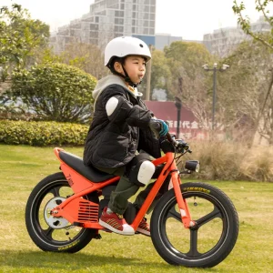 Electric Balance Bike for Kids 24V 150W 4.2Ah Children No Pedal Riding 16inch Electric Kids Toy Bike