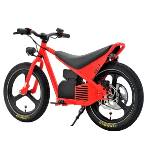 Electric Balance Bike for Kids Single Speed Disc Brake 16 Inch Wheel Aluminum Frame Ebike Children’s Toy Kids Electric Motorcycle