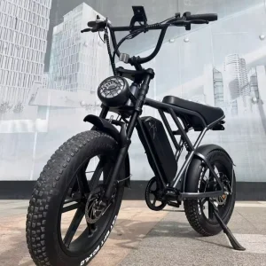 Electric Bicycle 1000w With Pedal Assist System Retro 250w Fat Tire Electric Dirt Bike 48v Ebike Mountain H9 for USA EU