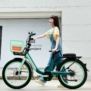 Electric Bicycle 250w Electric City Bike for Adult E Bikes Electric Cargo Bicycle