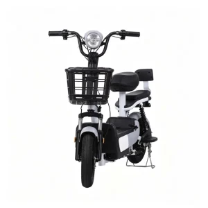 Electric Bicycle 350W 14Inch City E Bike Disc Brake Electric Bike for Adults