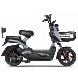 Electric Bicycle 350W Ebike 48V Lead-acid Battery Electric Bike Two Seats Remote Control Digital Dashboard Bright Light