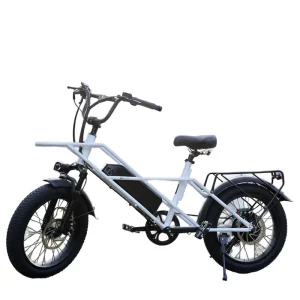 Electric Bicycle 48V 13AH Battery Two Wheel Electric Scooter Electric Bike E Bike Electric Bicycle Powerful Electric Bike