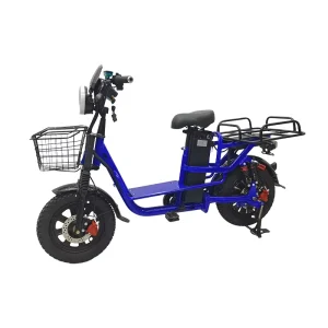 Electric Bicycle Cargo Electric Scooter Electric Carrier for Cargo Electric Bicycles Electric Mountain Bike