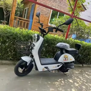 Electric Bicycle City New Style E Bicycle Electric Bike 14 Inch Electric Bike Motorbike