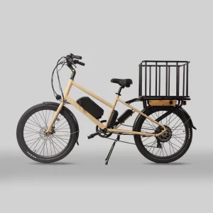 Electric Bicycle Family Food Cargo Delivery E-Cargo Electric Bike Classic Vintage Ebike Bicicleta City Cargo E Bicycle for Sale