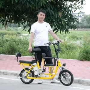 Electric Bicycle High Power Motor Electric Bike with Electric Motor for Bicycle Electric Bicycle Price Europe New Model