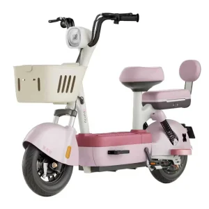 Electric Bicycle Lady Electric Bicycle Young Woman Electric Vehicle