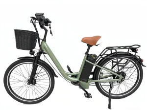 Electric Bicycle Lithium Battery Adult Daily Commute Power Assisted 48v Scooter Leisure Touring Bike Aluminum Alloy Frame