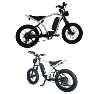 Electric Bicycle Lithium Battery Aluminum Alloy 6061 30-50km/H Electric Bicycle for Adults