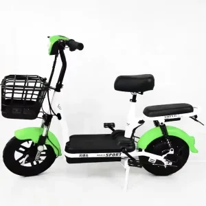 Electric Bicycle Long Range 2 Seater 2 Wheel Electric Bicycle for Adults Electric Motorcycle