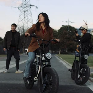 Electric Bicycle Long Range Fat Tire Bike for Adults