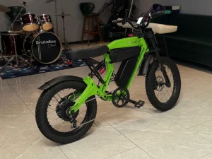 Electric Bicycle Magnesium Alloy Integrated Frame No Weld Mark Design Lightweight 4.6kg 2000w Electric Dirt Bike