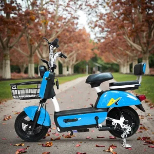 Electric Bicycle Motor Ebike Urban Electric Bicycle Electric Motorcycles Bike Electric Mountain Bike