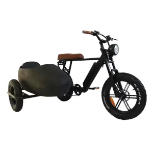 Electric Bicycle Sidecar 3-Wheel Aluminum Adults E Bike 48V 15AH Lithium Battery Rear Hub Motor 750W Brushless Disc Brakes