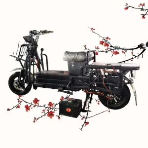 Electric Bicycle for Adults Direct Price Electric Motorcycle Strong Power Motor E bike
